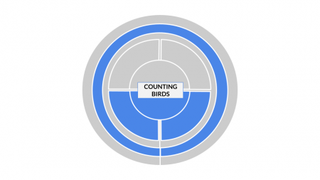 Method categorization for COUNTINGBIRDS