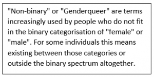 Non-binary-genderqueer.png