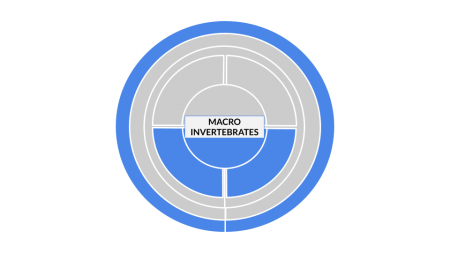 Method categorization for MACROINVERTEBRATES