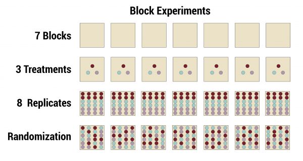 block experiment